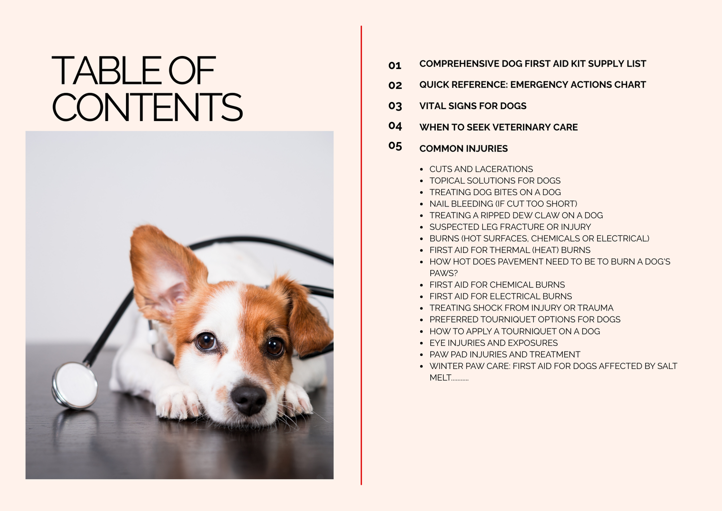 PAW-TROL: THE ULTIMATE FIRST AID GUIDE FOR DOGS