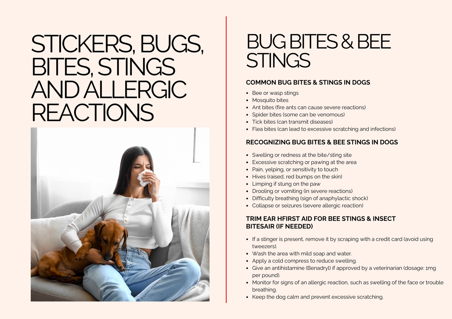 PAW-TROL: THE ULTIMATE FIRST AID GUIDE FOR DOGS