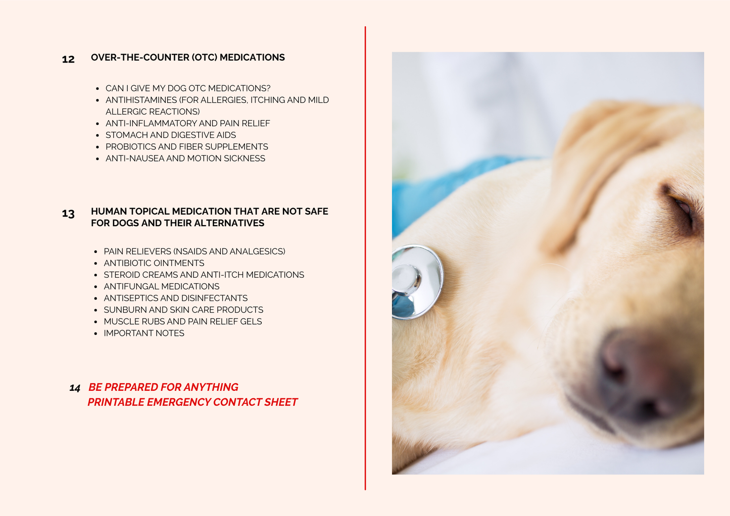 PAW-TROL: THE ULTIMATE FIRST AID GUIDE FOR DOGS