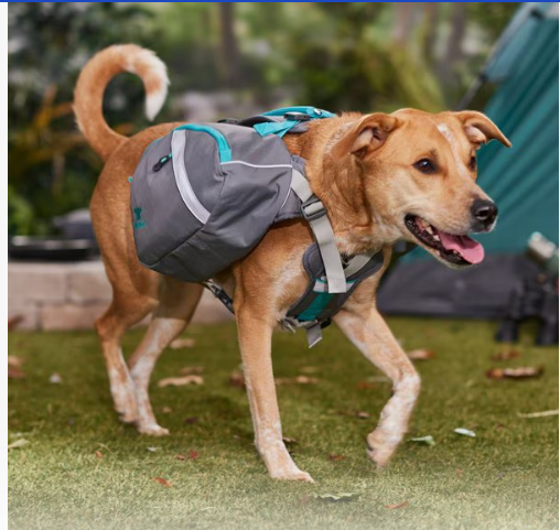 THE K9 EMERGENCY COMPANION SADDLE BAG (Medium) - Mountainsmith Bag