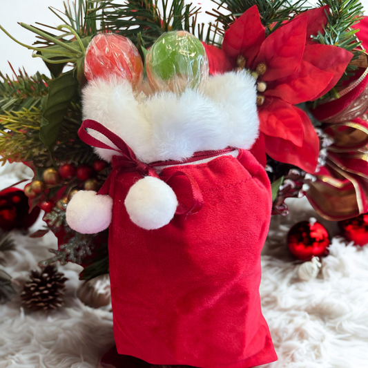 Santa's Safety Sleigh Kit - Limited Edition