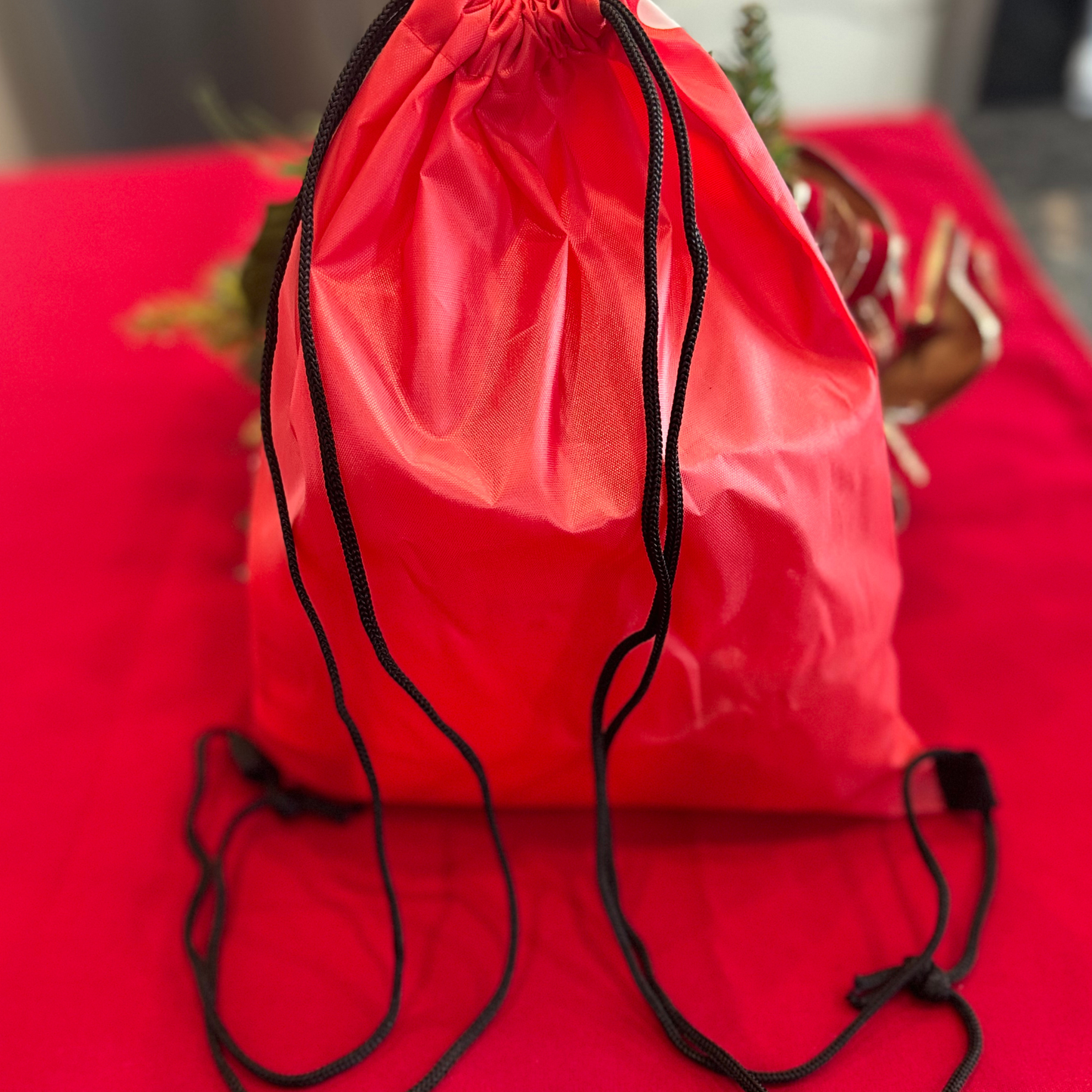 Jolly Pet First Aid Kit