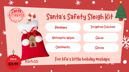 Santa's Safety Sleigh Kit - Limited Edition